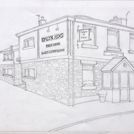 Emlyn Arms Bed and Breakfast Llanarthney Exteriör bild