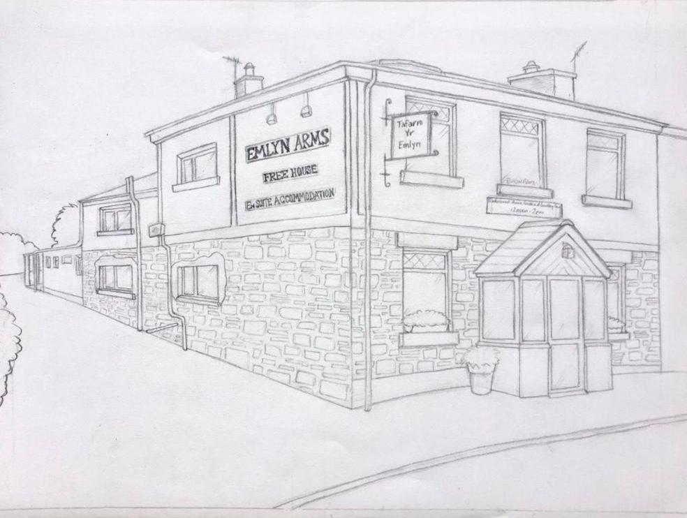 Emlyn Arms Bed and Breakfast Llanarthney Exteriör bild