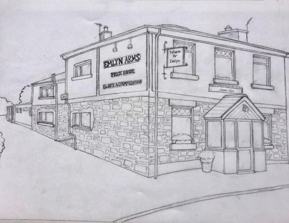Emlyn Arms Bed and Breakfast Llanarthney Exteriör bild