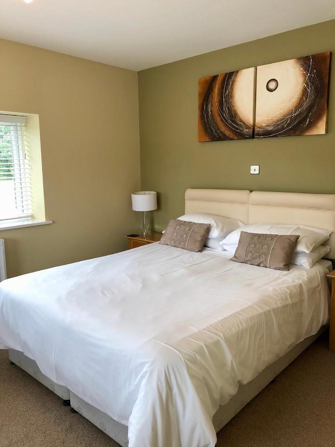 Emlyn Arms Bed and Breakfast Llanarthney Exteriör bild
