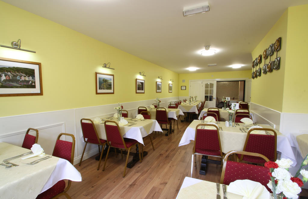 Emlyn Arms Bed and Breakfast Llanarthney Exteriör bild