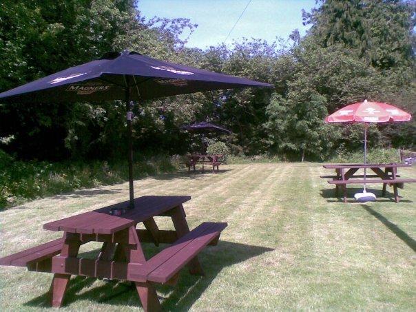Emlyn Arms Bed and Breakfast Llanarthney Exteriör bild