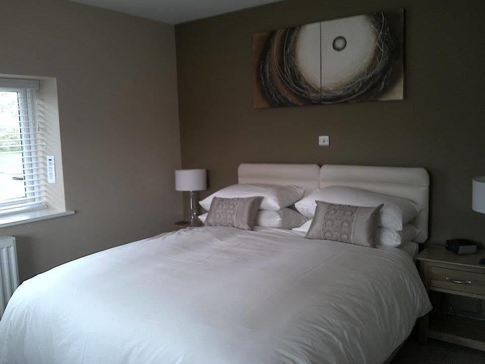 Emlyn Arms Bed and Breakfast Llanarthney Exteriör bild